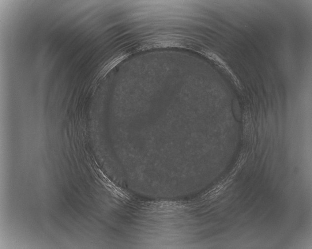 X0000061730785200512161621