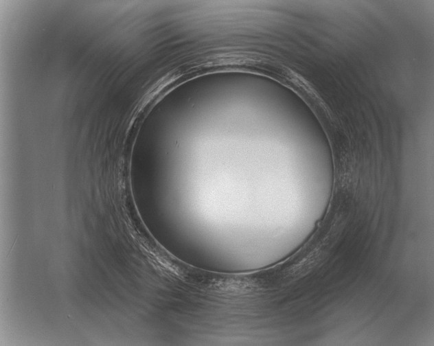 X0000061730786200512161621