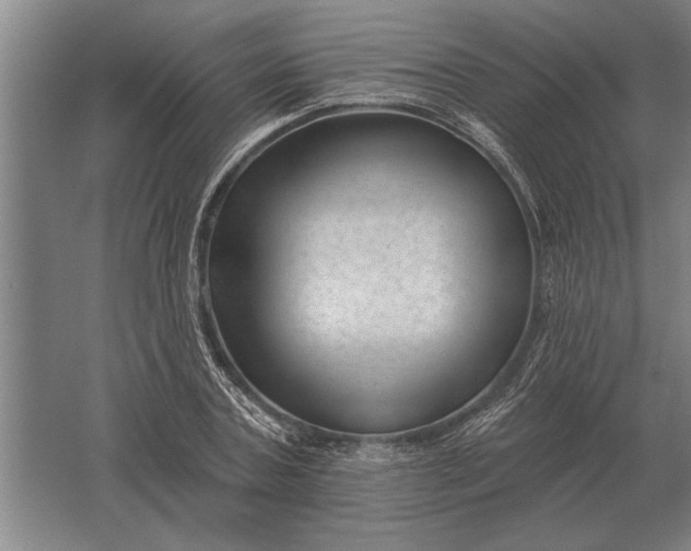 X0000061730787200512161621