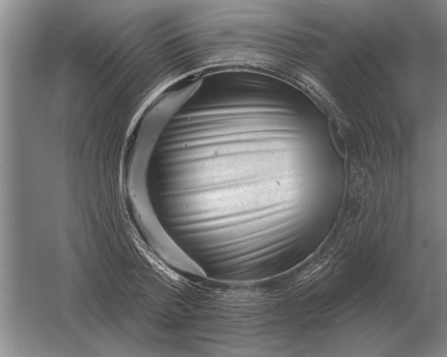 X0000061730788200512161621