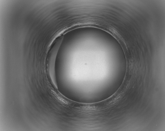 X0000061730789200512161621