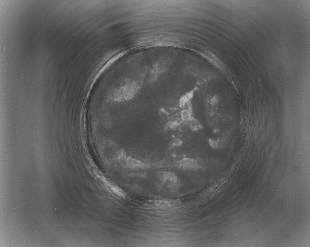 X0000061730790200512161621