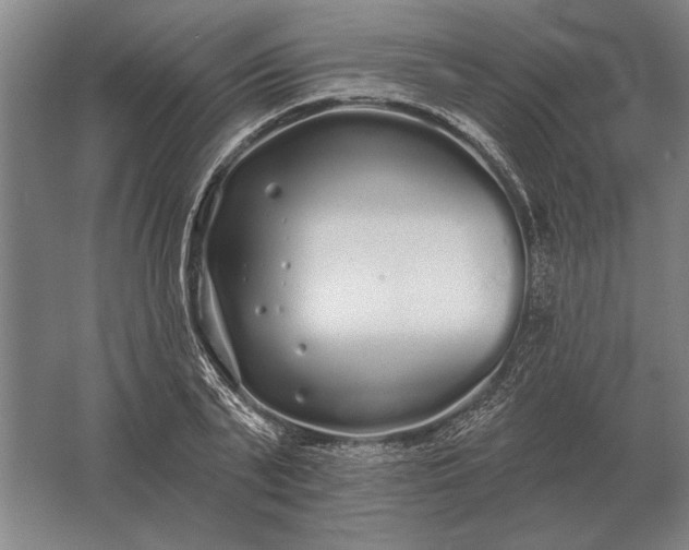 X0000061730791200512161621