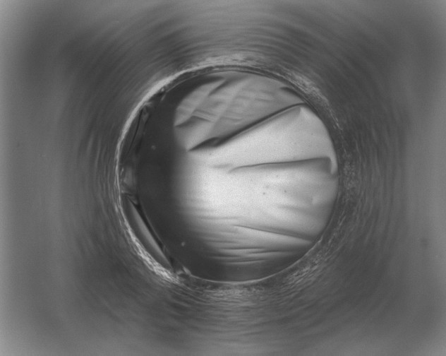 X0000061730792200512161621