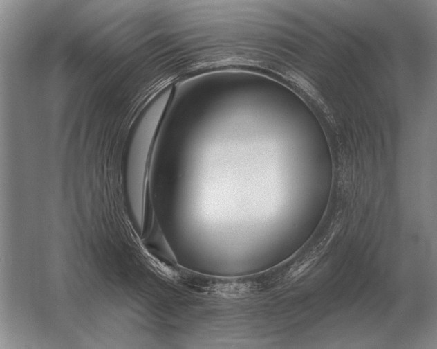 X0000061730793200512161621