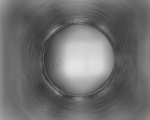 X0000061730794200512161621