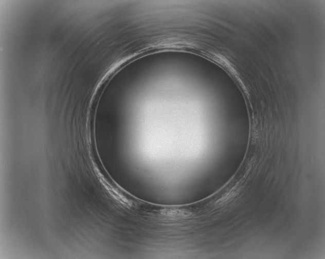 X0000061730795200512161621