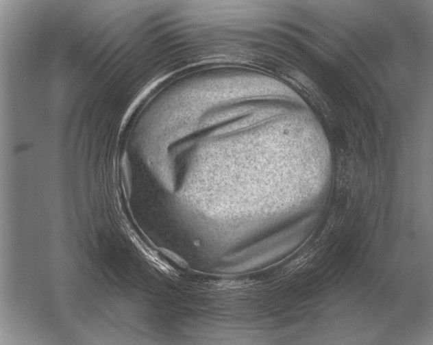 X0000061730796200512161621