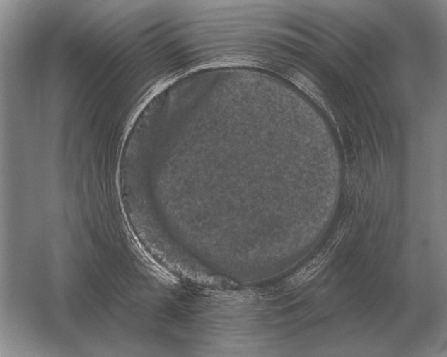 X0000061730797200512161621