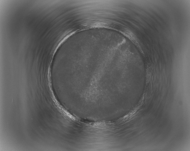 X0000061730798200512161621