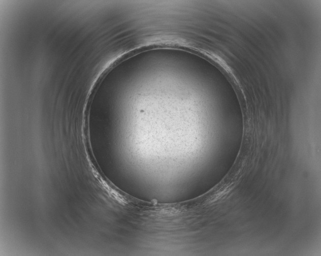 X0000061730799200512161621