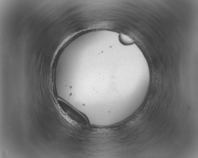 X0000061730800200512161621