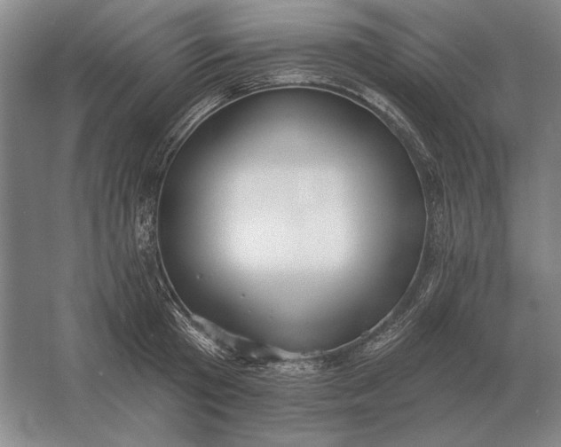 X0000061730801200512161621