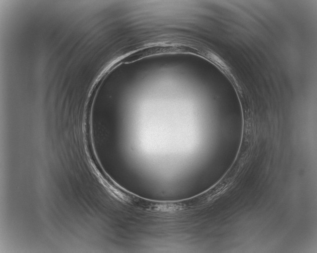 X0000061730803200512161621