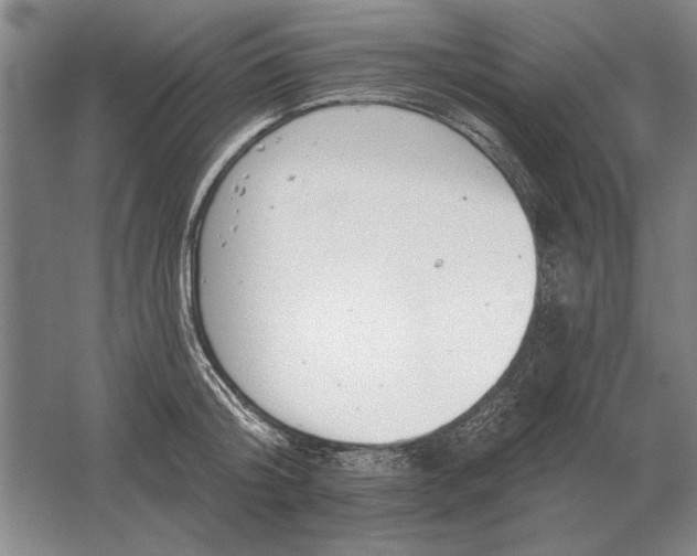 X0000061730804200512161621