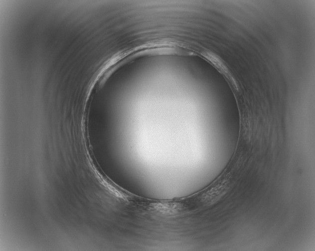 X0000061730805200512161621