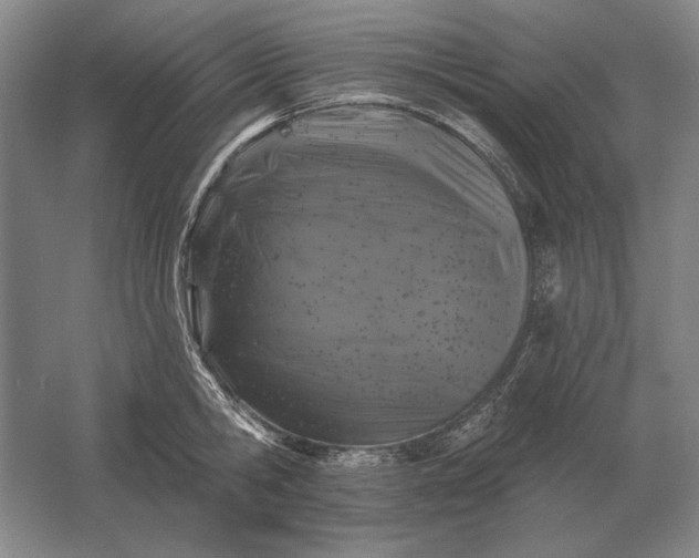 X0000061730806200512161621