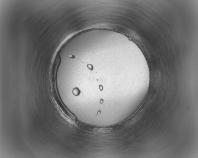 X0000061730808200512161621