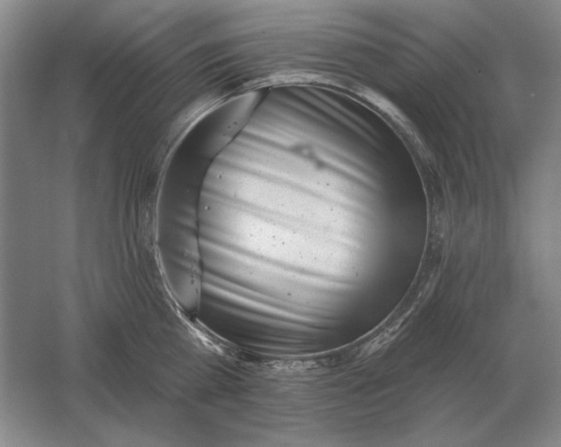 X0000061730809200512161621