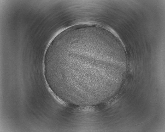 X0000061730811200512161621