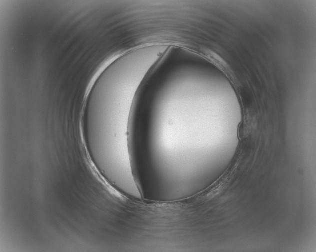 X0000061730812200512161620