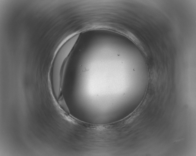 X0000061730814200512161620