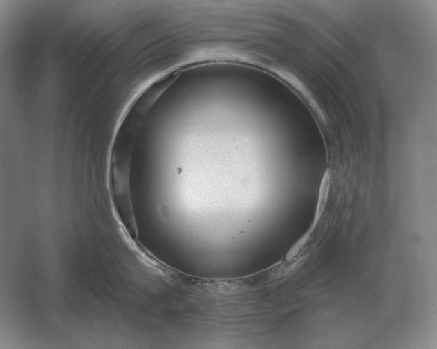 X0000061730815200512161620