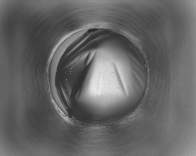 X0000061730816200512161620