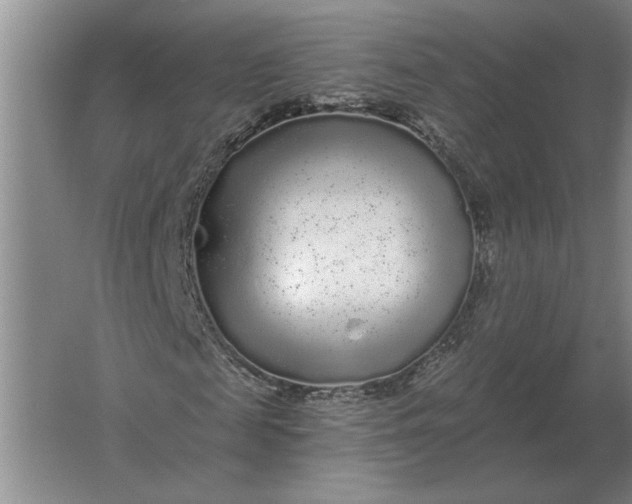 X0000061730817200512161620