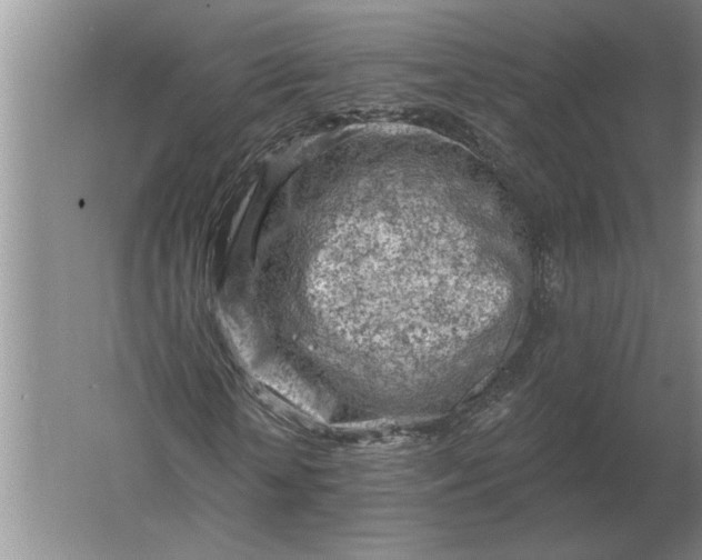 X0000061730818200512161620