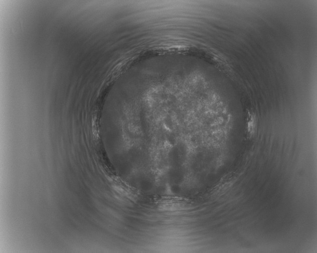 X0000061730819200512161620