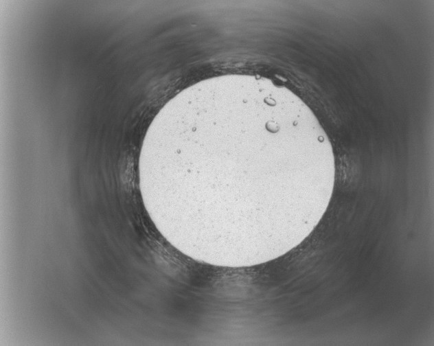 X0000061730820200512161620