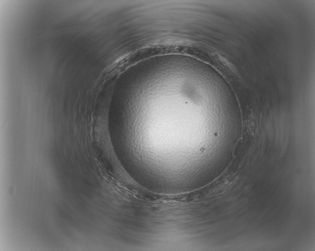 X0000061730821200512161620