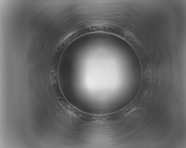 X0000061730822200512161620