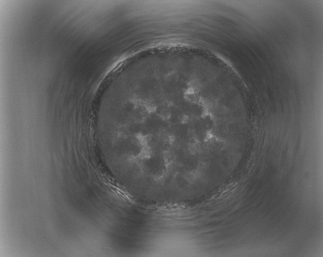 X0000061730823200512161620