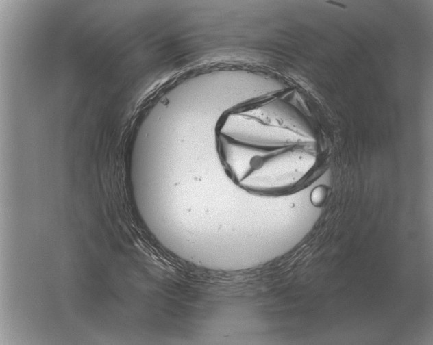 X0000061730824200512161620