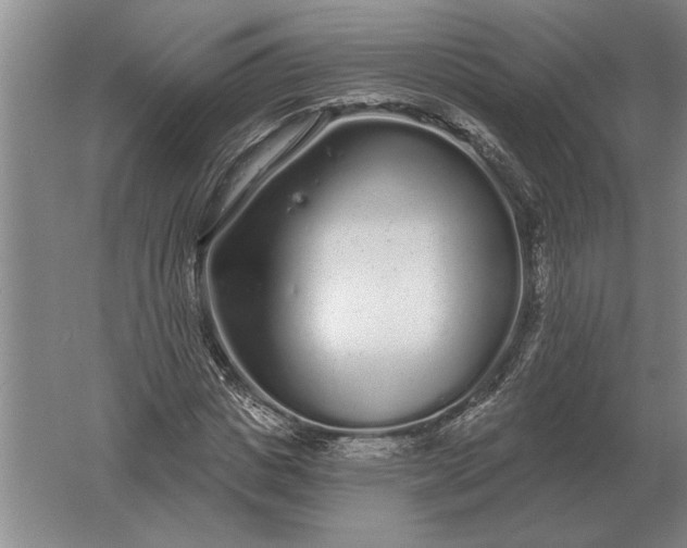 X0000061730825200512161620