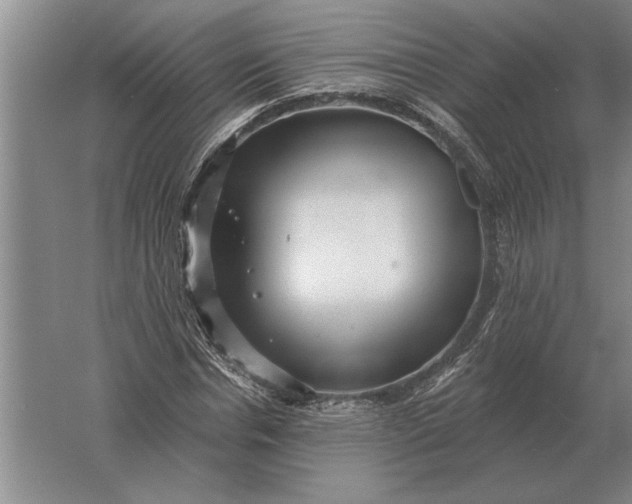 X0000061730826200512161620