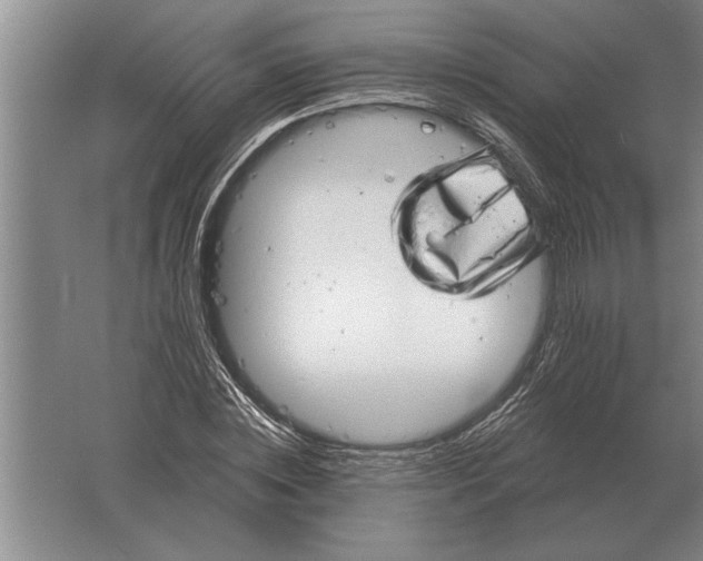 X0000061730828200512161620