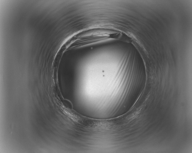 X0000061730830200512161620