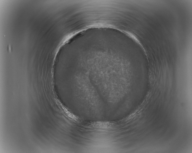 X0000061730831200512161620