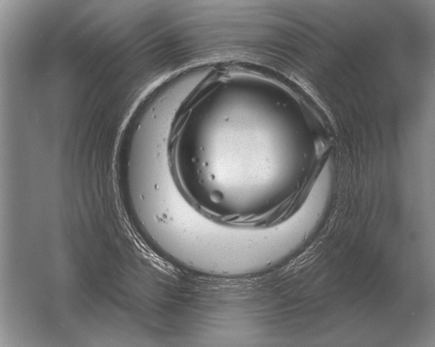 X0000061730832200512161620