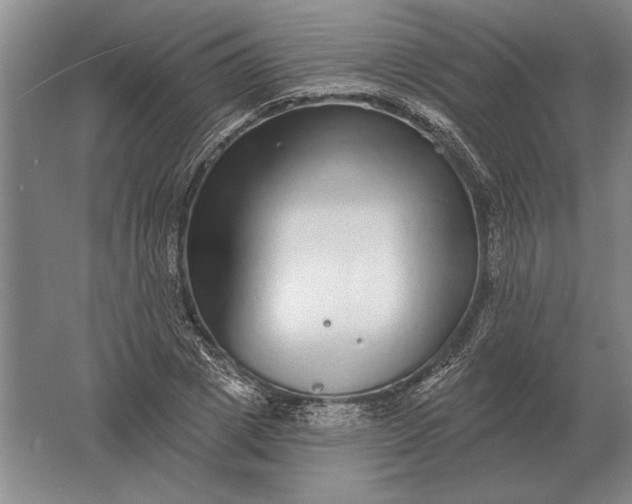 X0000061730833200512161620