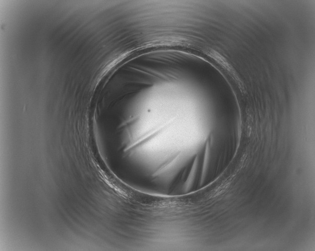 X0000061730834200512161620