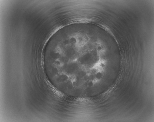 X0000061730835200512161620