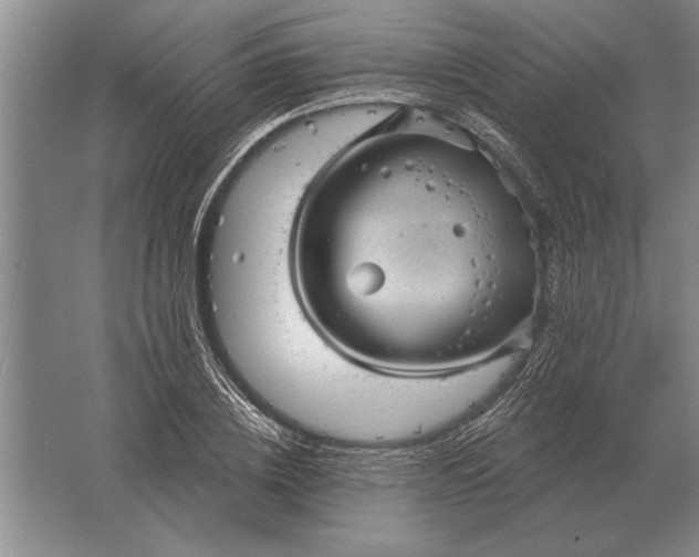 X0000061730836200512161620