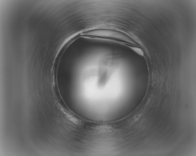 X0000061730838200512161620