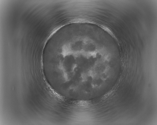 X0000061730839200512161620