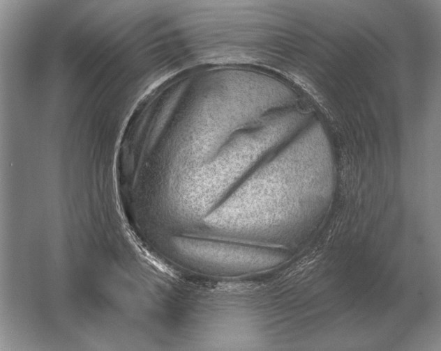 X0000061730840200512161620