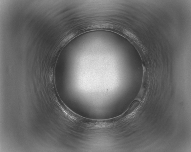 X0000061730841200512161620